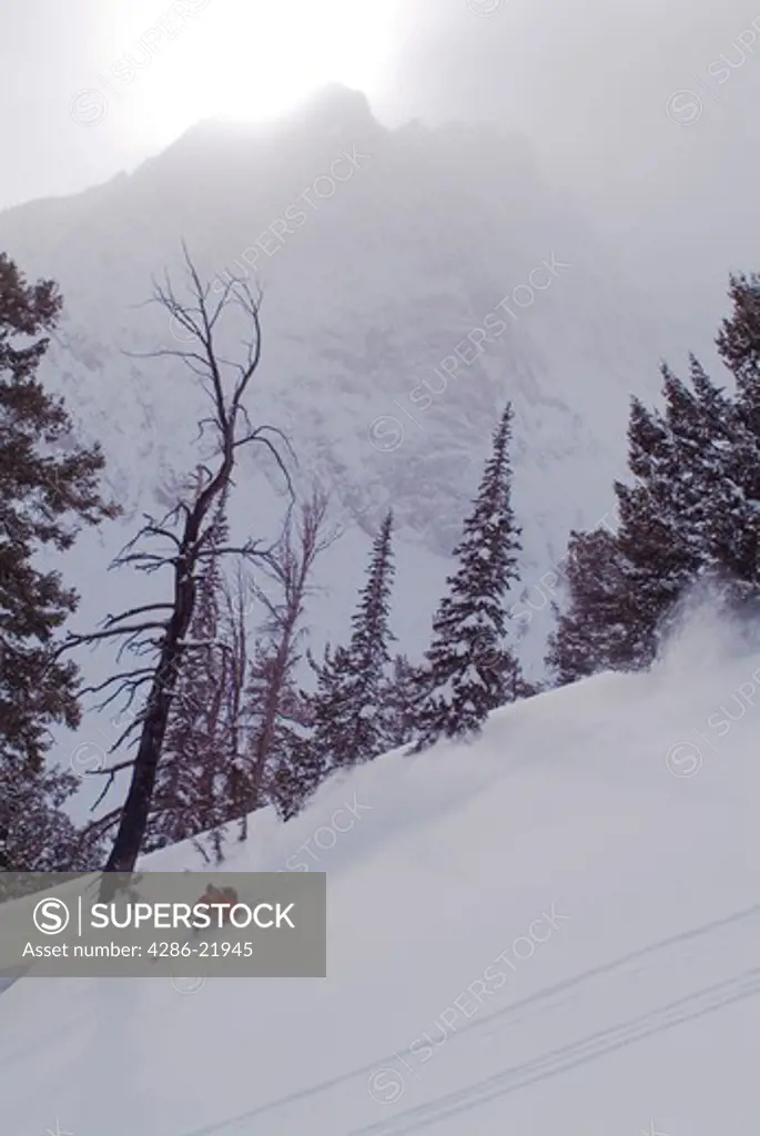 A man skiing powder snow in the Sawtooth Mountains of Idaho near Mount Williams.