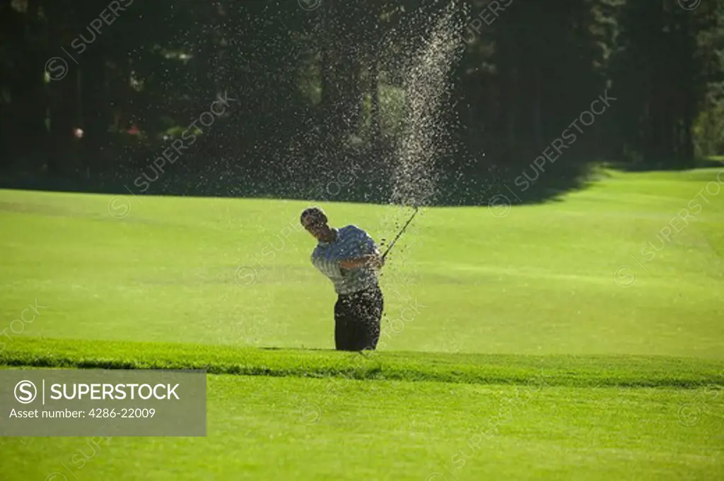 A man hittting out of a sandtrap on the Championship golf course in Incline Village, NV.