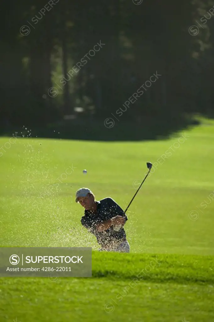 A man hitting out of a sandtrap on the Championship golf course in Incline Village, NV.