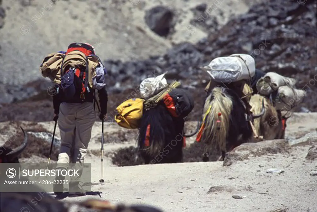 A woman trekking towards Everest basecamp.