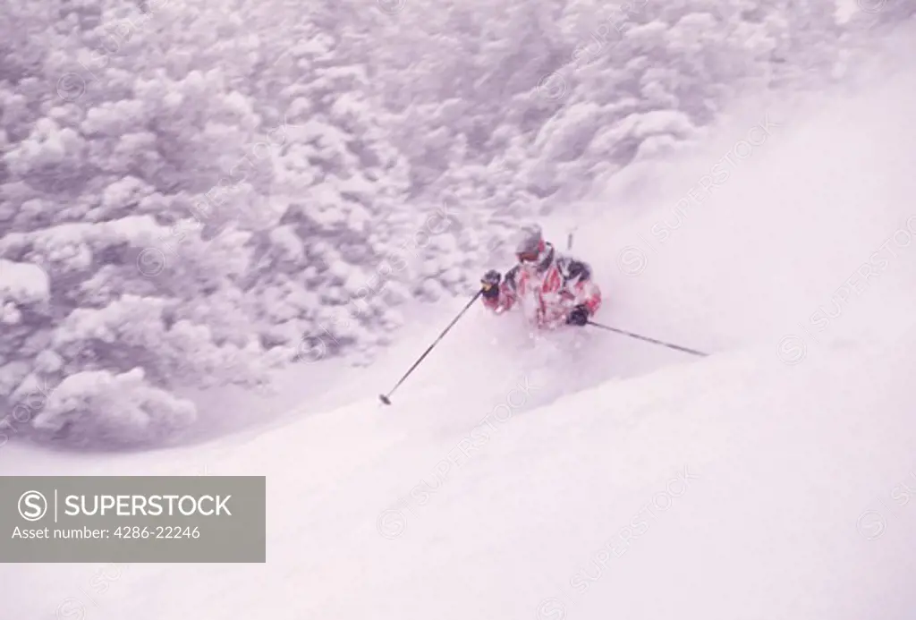 A blurry shot of a man skiing powder at Snowbird, UT.