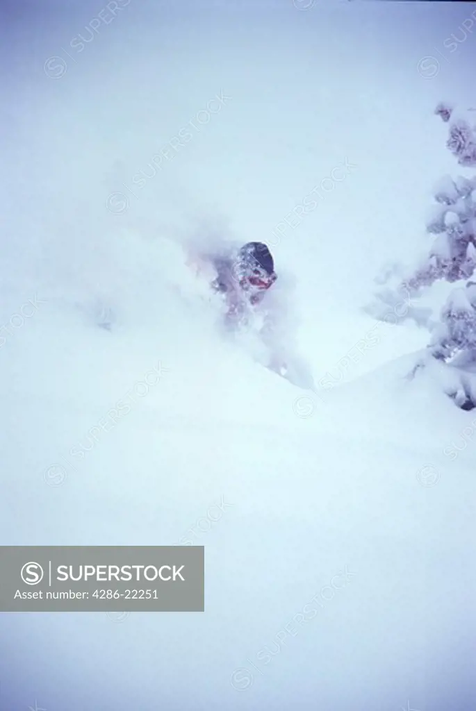 A man skiing powder at Alpine Meadows, CA.