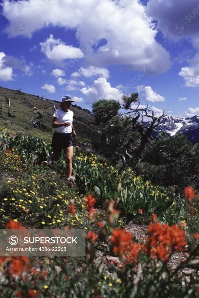 A woman trail running on the Pacific Crest Trail