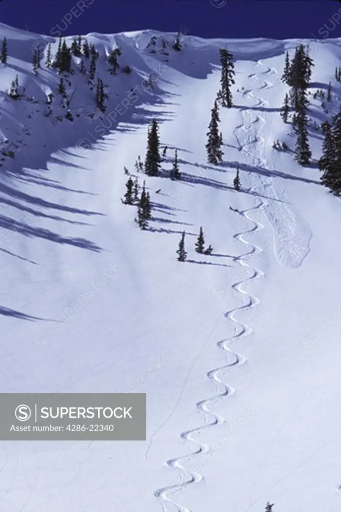 Ski tracks in Big Cottonwood Canyon, UT.