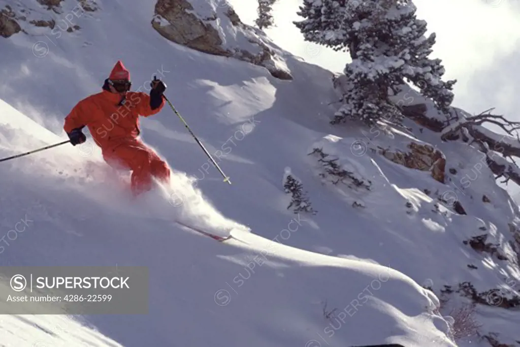 A man skiing powder snow in the Wasatch mountains of Utah.
