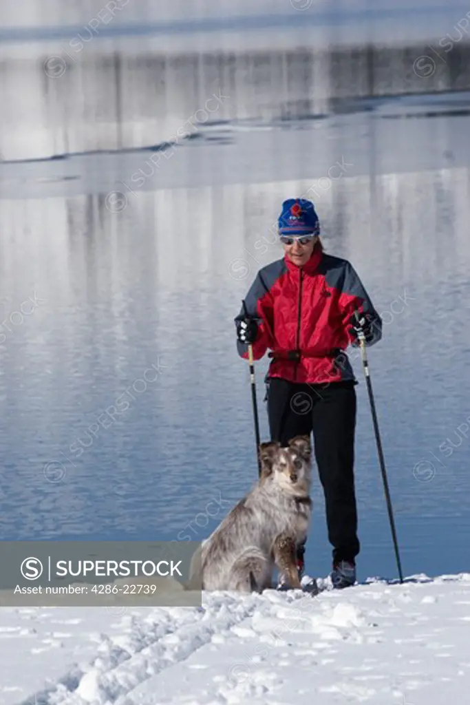 A woman and dog skiing on the shore of Donner Lake in winter near Truckee, California