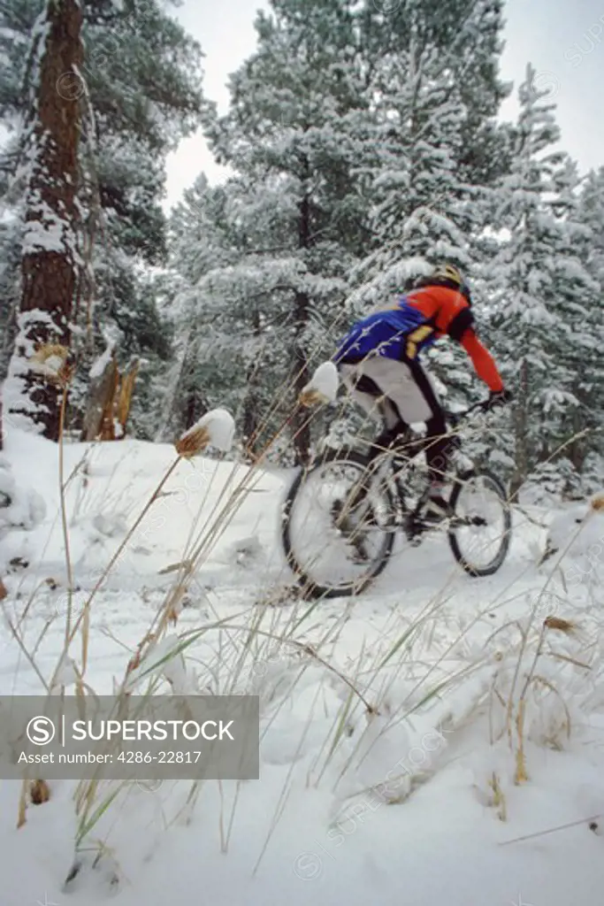 A blurry shot of a man mountain biking in the snow in the Tahoe National Forest in California.
