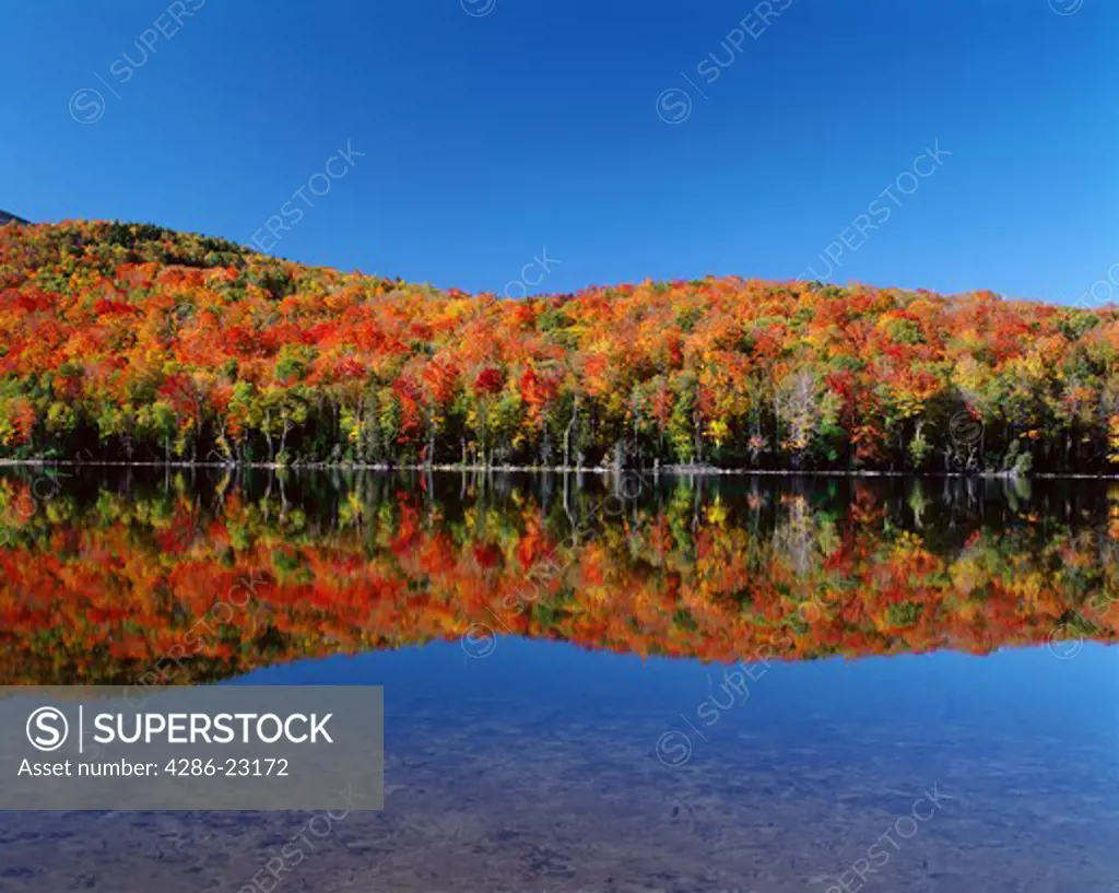 USA New York Adirondack State Park Heart Lake Reflection of autumn colors in lake