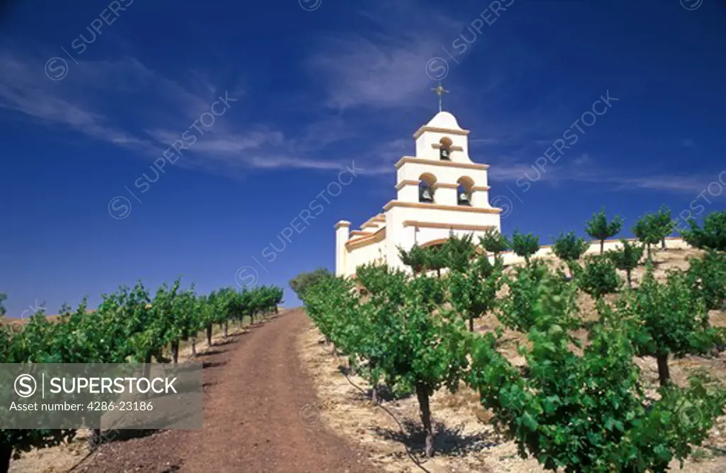 USA, California, Paso Robles, Spanish Mission style church on hill with grape vineyard