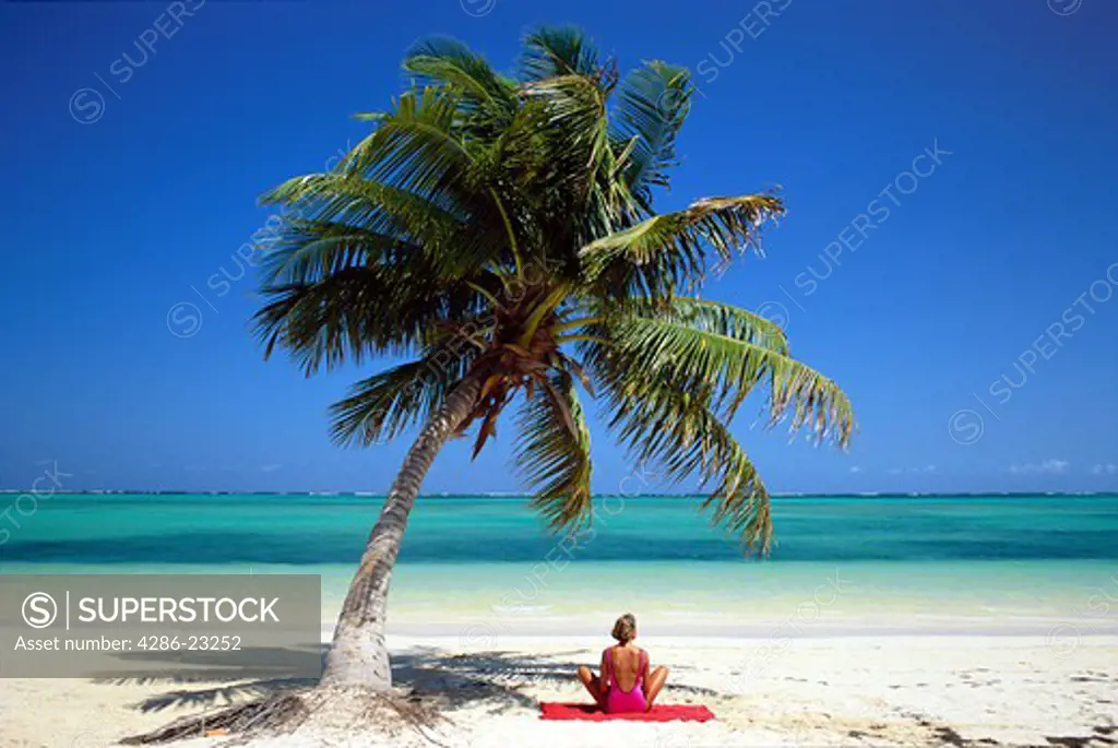 Dominican Republic Punta Cana Young woman seated under a Palm tree looking out to sea