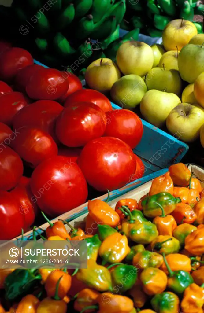 Antigua Saint John Fruit market tomatoes apples bananas and peppers 