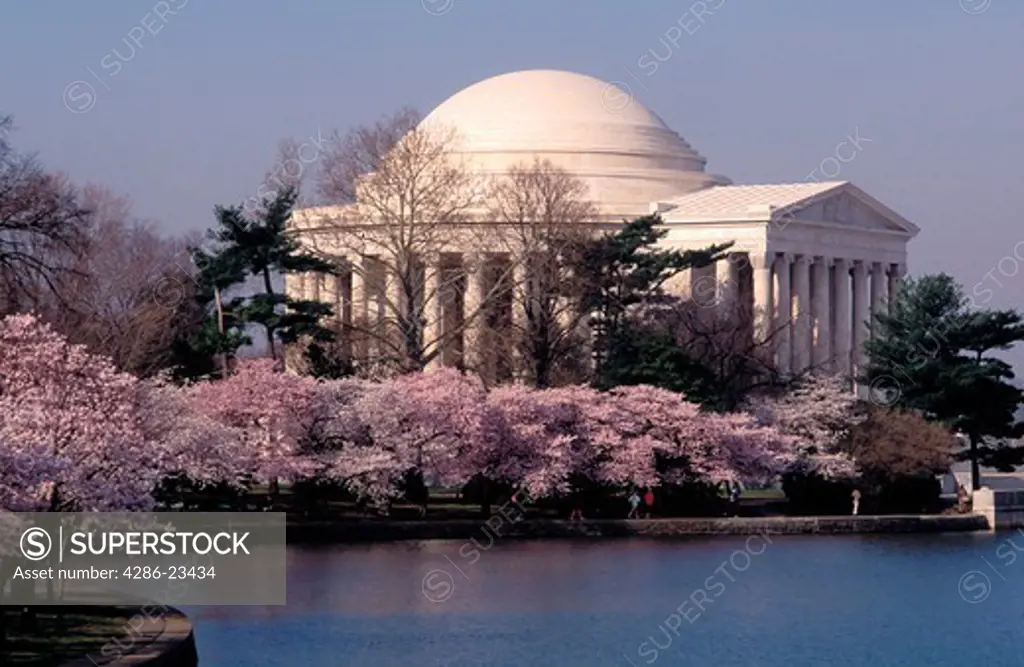 USA Washington DC The Jefferson Memorial with Japanese Cherry blossoms in bloom 