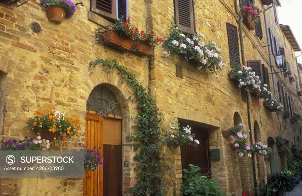 Italy, Pienza, Tuscany, flowerpots and flowers hung along a wall with doorways