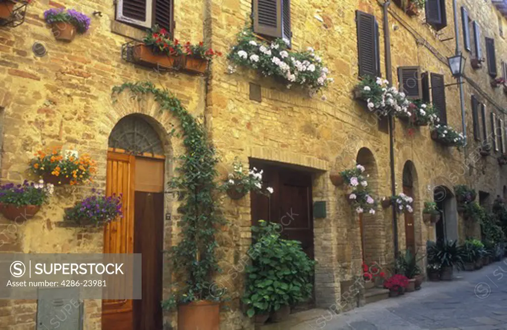 Italy, Pienza, Tuscany, hanging flower baskets along a brick wall with doorways