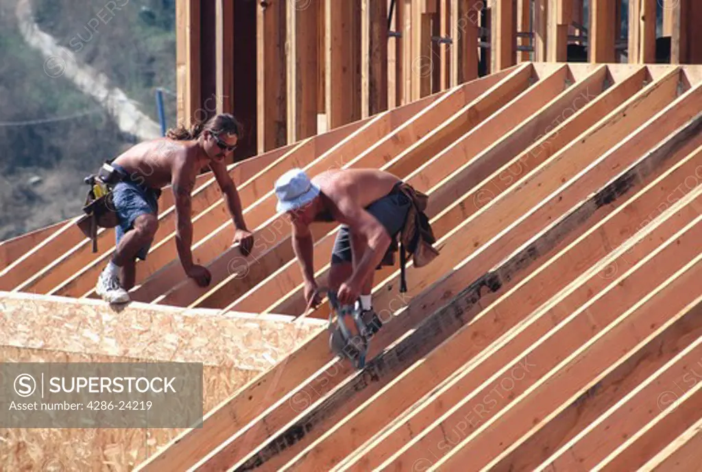Two shirtless carpenters working on the roof framing of a large wooden building, Berkeley, CA. One uses a large tape measure.