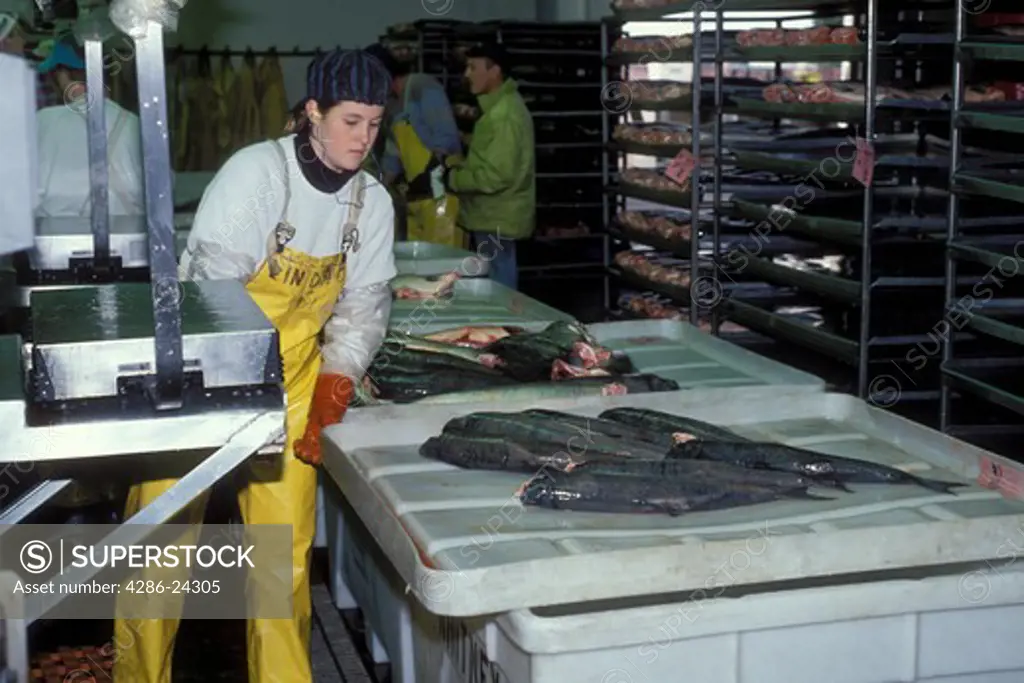 USA, Alaska, Anchorage, salmon processing plant