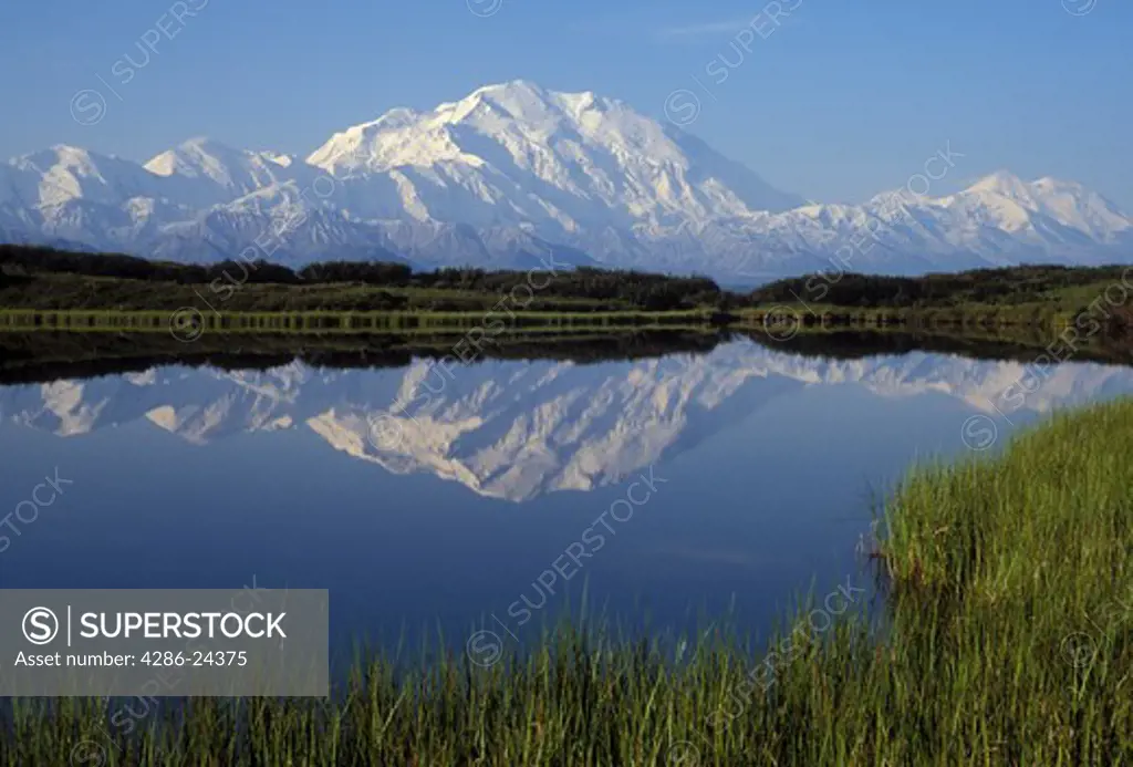 USA, Alaska, Denali National Park,  Park Road, Denali, Mt. McKinley, wtih mountain reflecting in Reflection Pond
