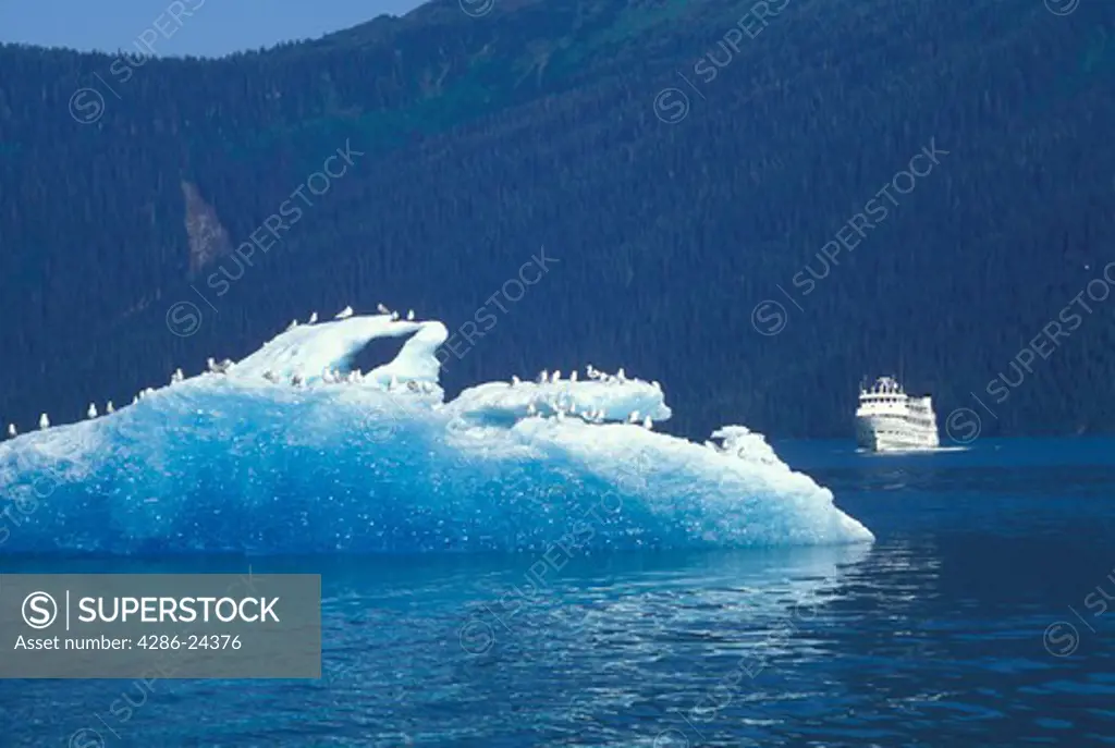 USA, Alaska, Inside Channel, Frederick's Sound, Leconte Bay, iceberg  from Leconte Glacier and tour boat