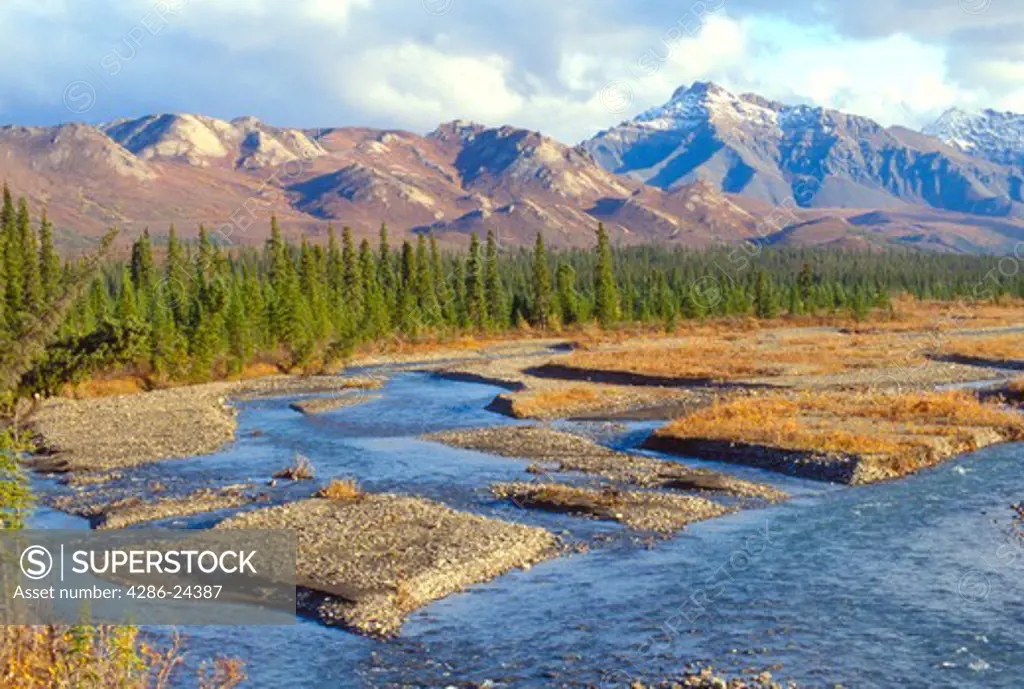 USA, Alaska, Denali National Park,  Park Road, Teklanika River, example of braided river near Teklanika Campground