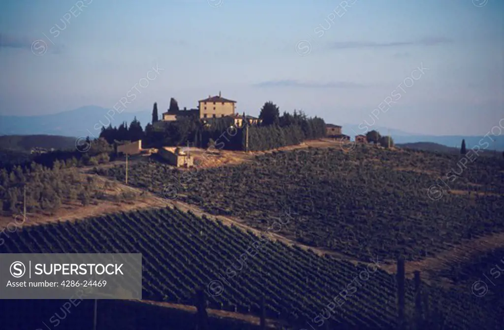 Villa on the top of a hill surrounded by vineyards, near Rada, Italy.