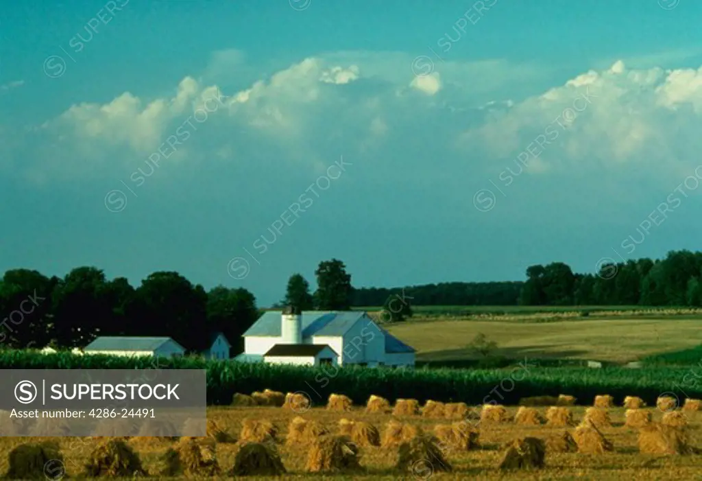 Harvest, Amish country