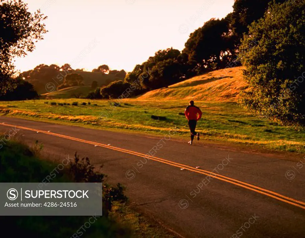 Man running along tree-lined road in morning light.