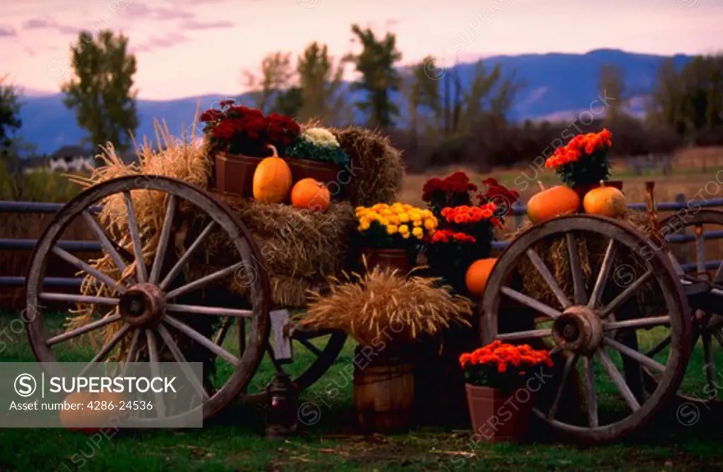 Horse wagon with pumpkins, flowers and hay decorated for fall in Missoula, Montana.