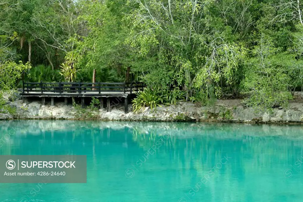 Mexico, Cozumel, tranquil water at Chankanaab National Park. 