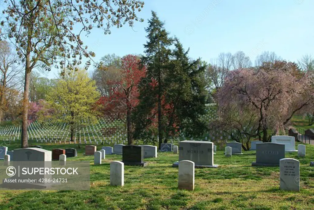 Arlington Cemetery in the Spring