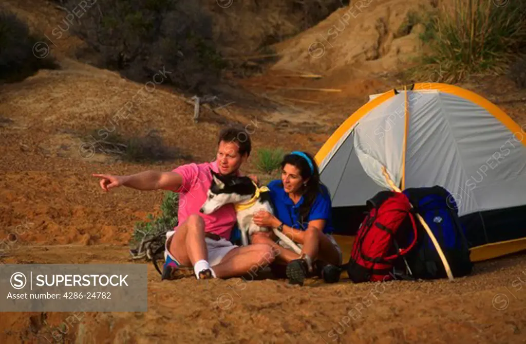 Couple camping with dog