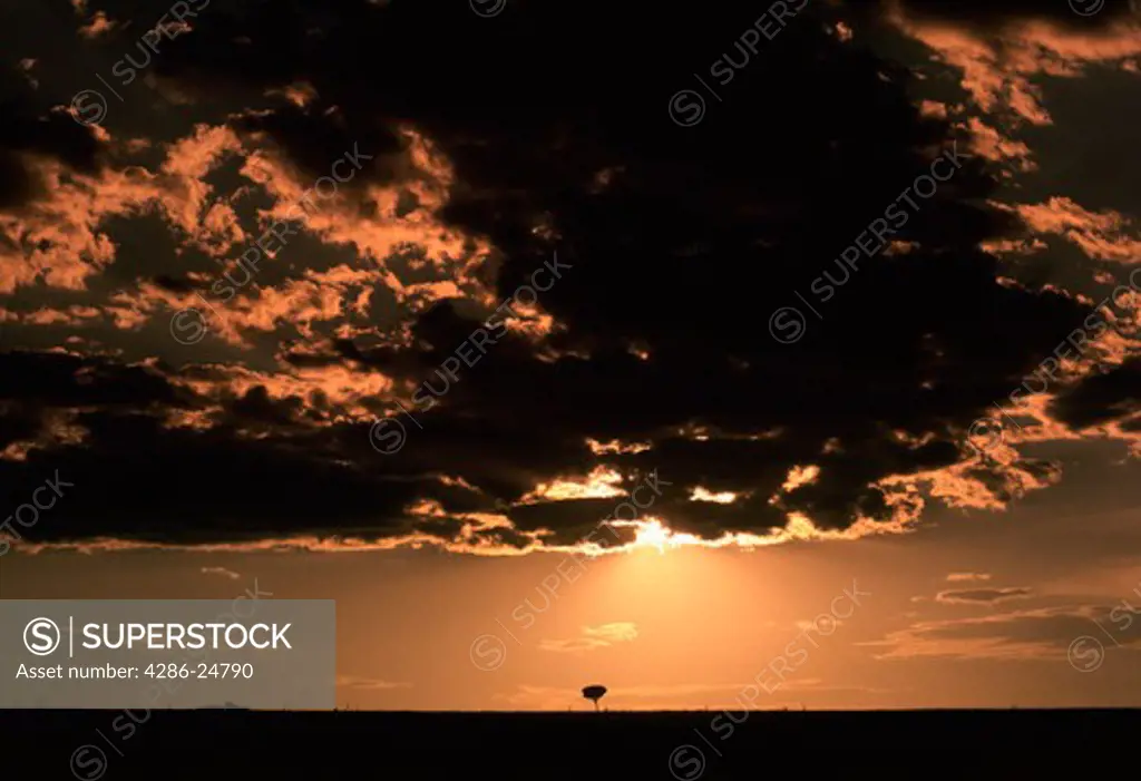 Sunrise Over Masai Mara, Kenya