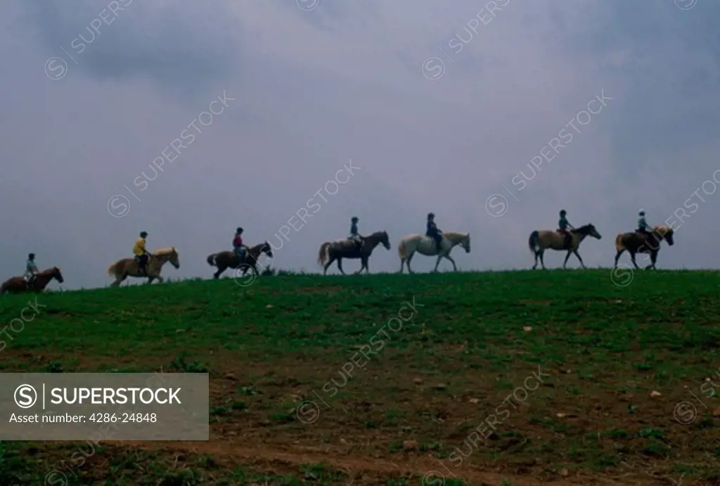 Horse Riding in Blue Ridge Mountains, Virginia