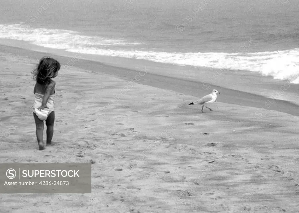 Young girl chasing a seagull