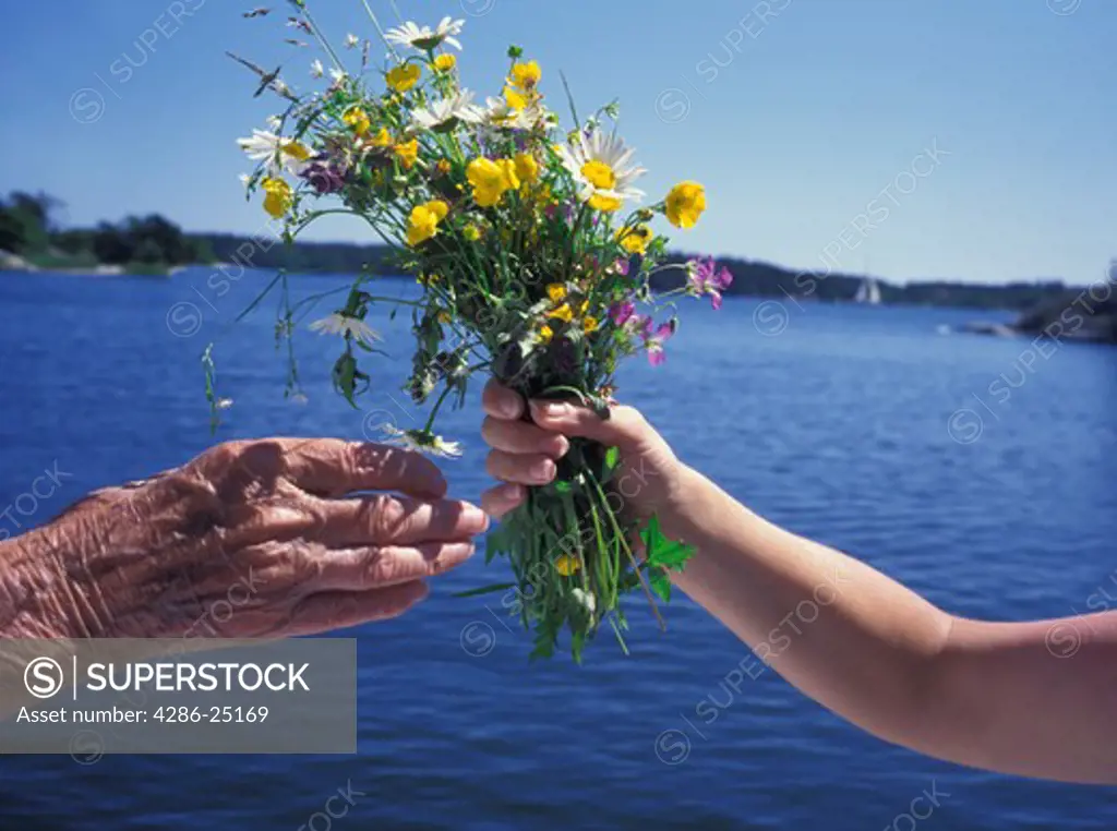Grandchild offering boquet of wild flowers to Grandmother