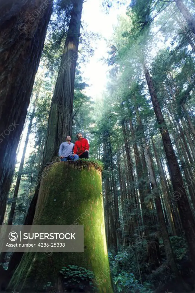 Couple in Redwood National Forest in Northern California