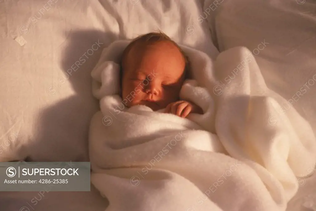 Baby 3 to 6 months wrapped in white blanket in morning light