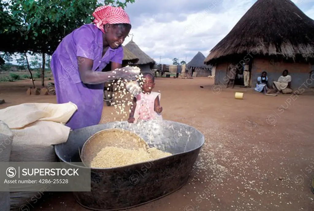 African woman removing chaff from corn in rural village in Zimbabwe