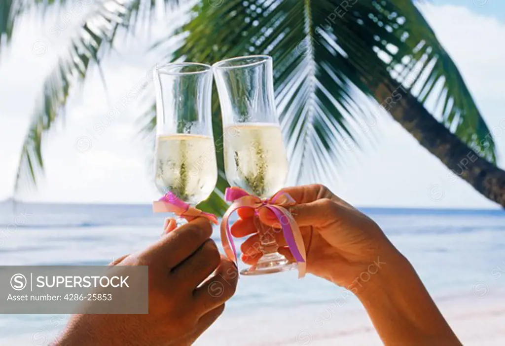 Two people toasting a lovely island holiday