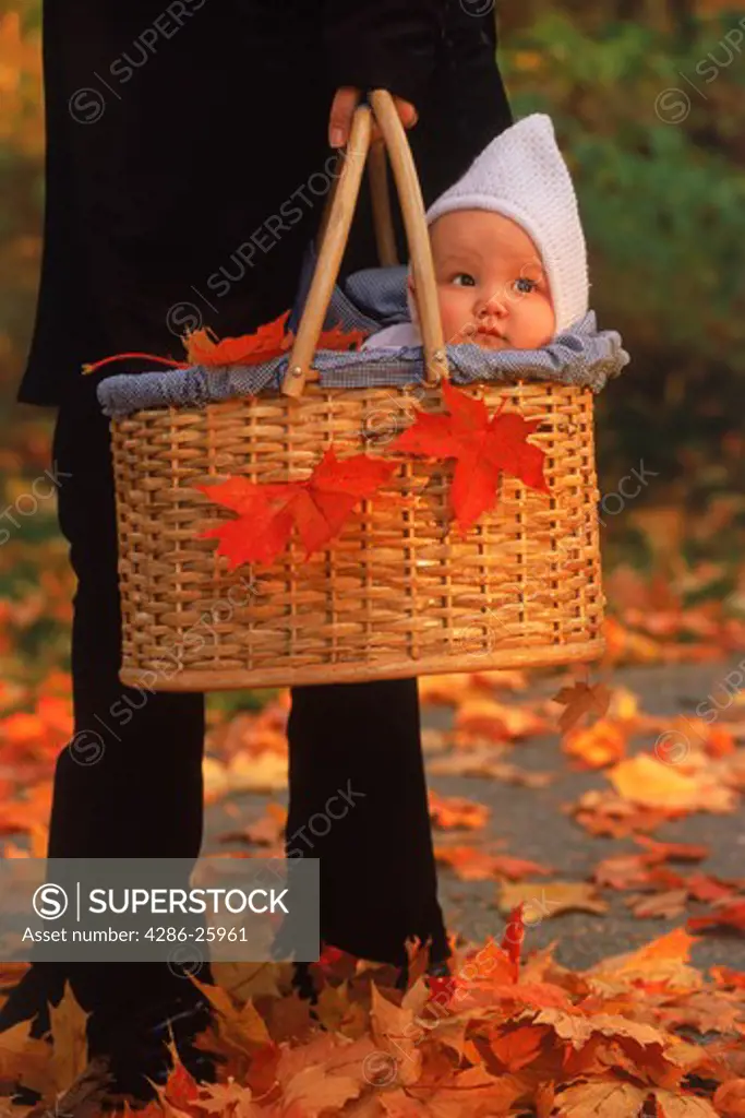 Mother taking baby in basket for autumn walk 