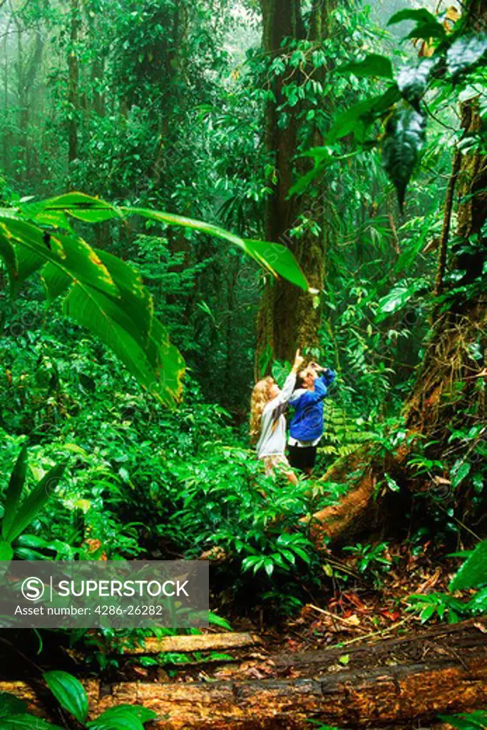 Women birdwatching in Monteverde rainforest in Costa Rica