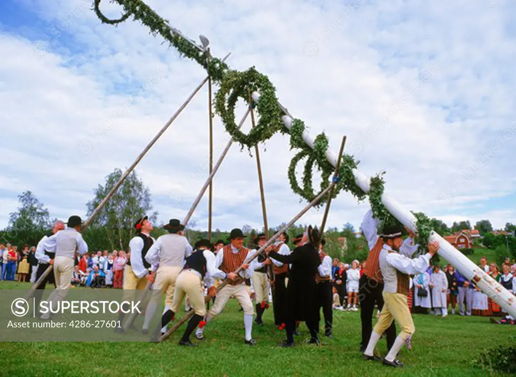 Men in traditional national  costumes putting up Midsummer pole or Maypole during celebrations at Skansen Park in Stockholm