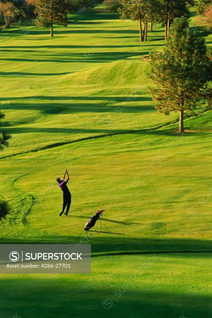 Male golfer hitting fairway shot in low light at Sunset Ranch Golf Club in Kelowna, British Columbia, Canada