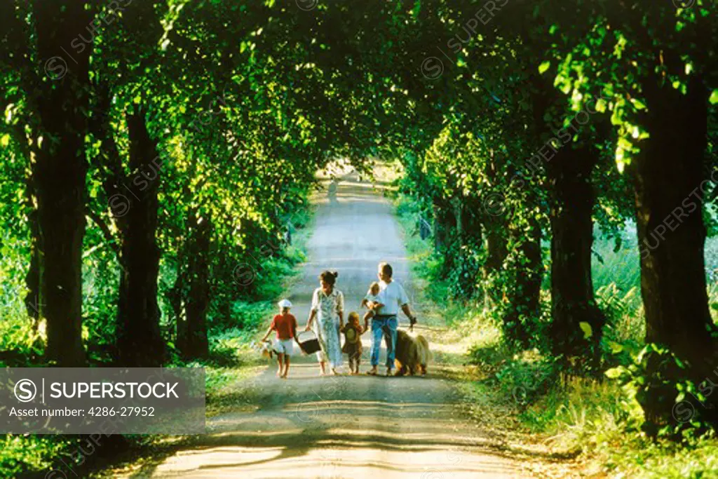 Family of five with dog on tree lined country road in Sweden