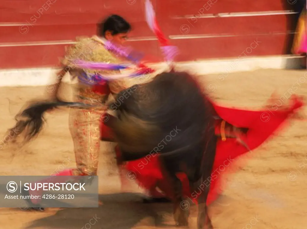 Bull and horn just missing matador during bullfight