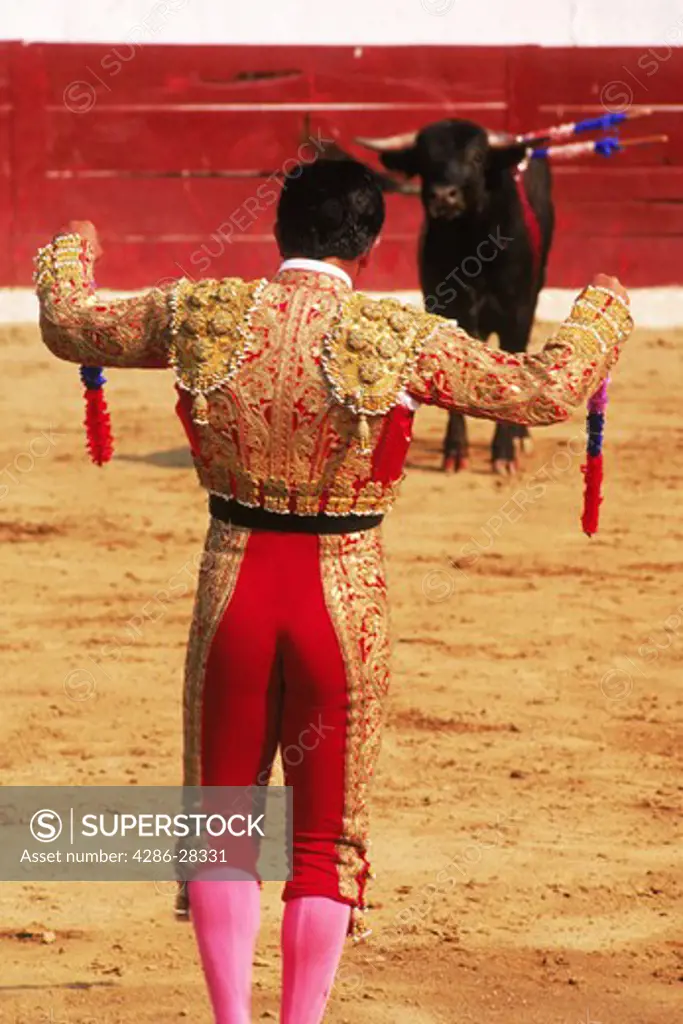 Banderillero set to place barbed wooden decorated sticks into bull in preperation for the Matador