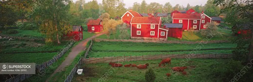 Traditional red farm houses and barns in Smaland Sweden
