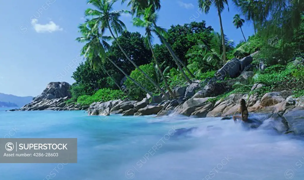 Woman sitting above waves and under palm trees at Anse Severe on La Digue Island