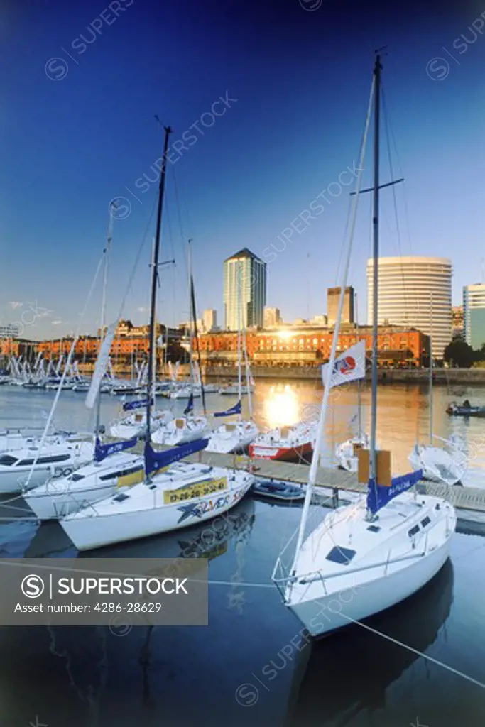 Sailboats, apartments and office buildings on Puerto Madero harbor in Buenos Aires at dawn