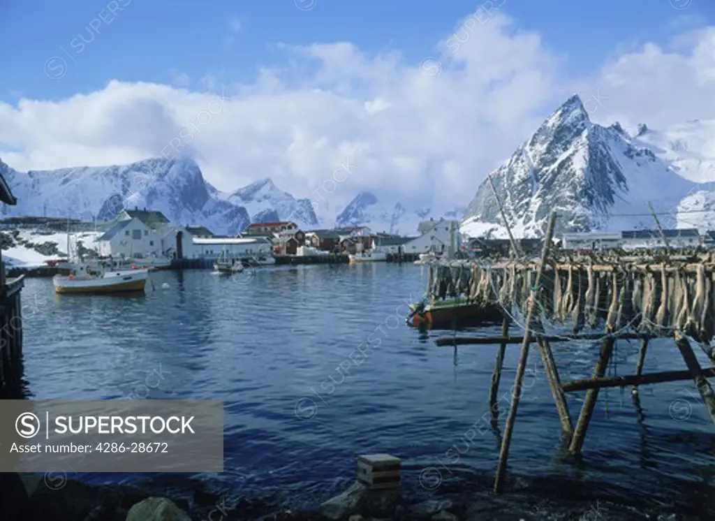 Stock fish drying on racks and fishing boats at village of Hamnoy on Moskenes Island in Lofotens off Northern Norway