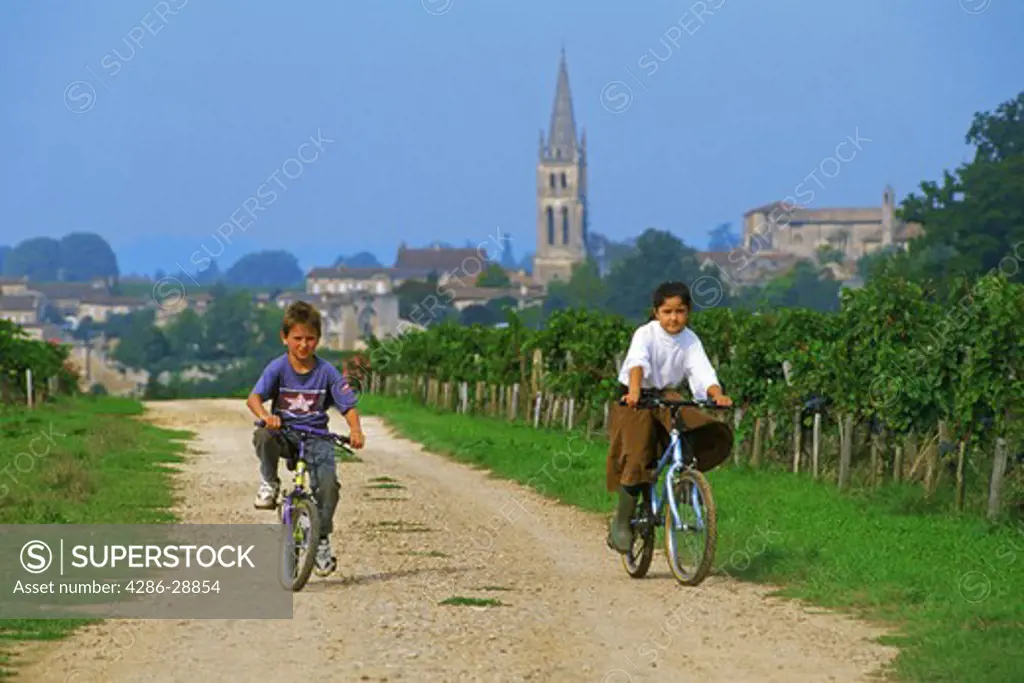 Two school children riding bikes through Bordeaux vineyards near village of St Emilion in France